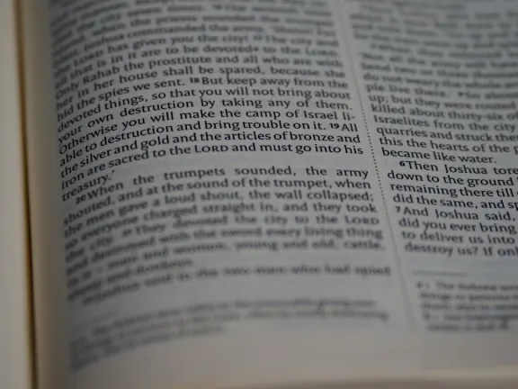 Hejgo Casino Ënnerstëtzung